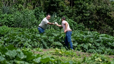 Turrialba tiene un banco de semillas similar al de Noruega ante posibles catástrofes