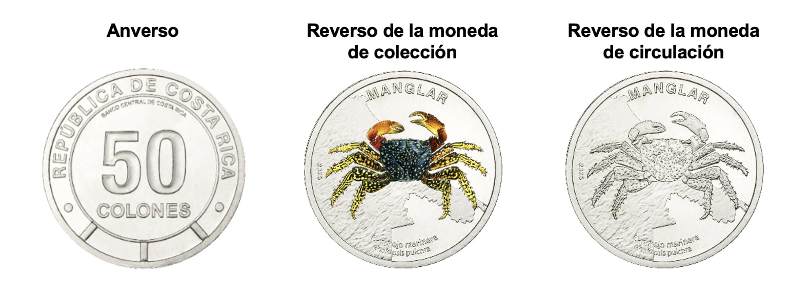 Tanto las monedas en sus presentaciones en acrílico como en estuche tendrán un precio de ₡8.650.