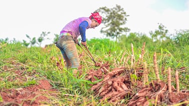 Estos son los 25 productos que más subieron de precio durante el 2025, pese a una inflación por debajo del 0%