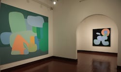 Pinturas revelarán al color como experiencia y retratarán a San José como laboratorio vivo: Esta es la nueva exposición de Federico Herrero