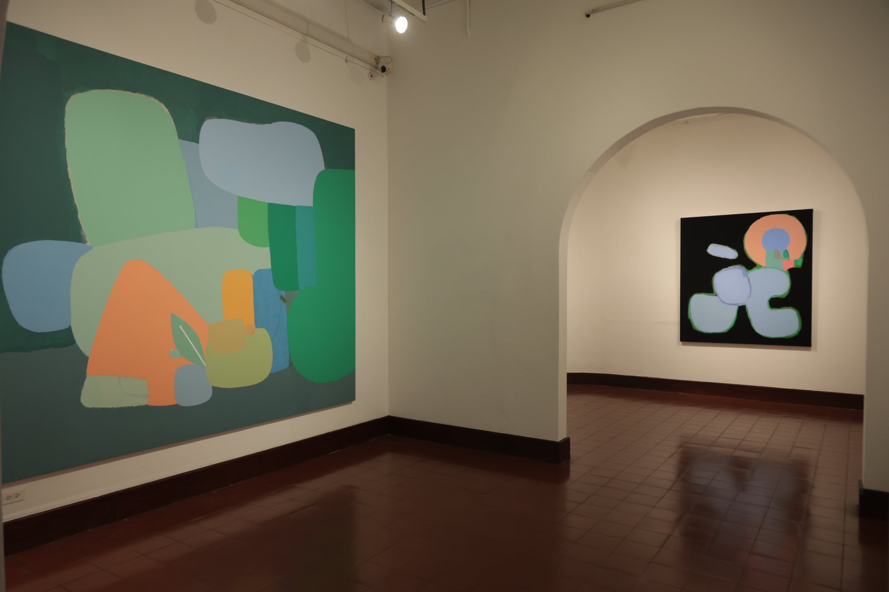 exposición del artista Federico Herrero en el Museo de Arte Costarricense