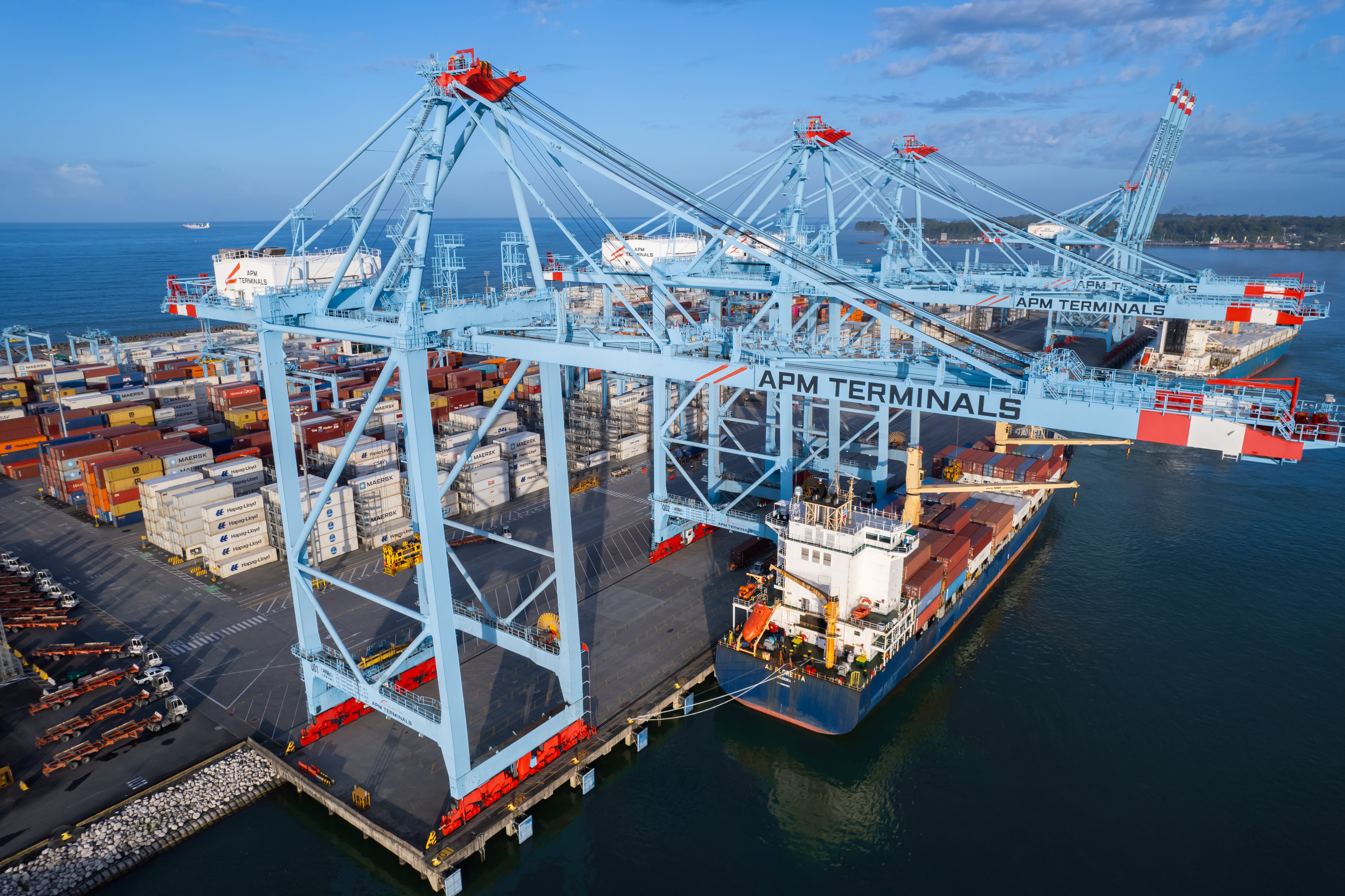 AMP TERMINALS REPORTAJE BRANDVOICE