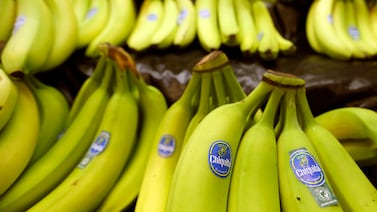 Chiquita Brands hallada culpable en Estados Unidos por financiar el paramilitarismo en Colombia