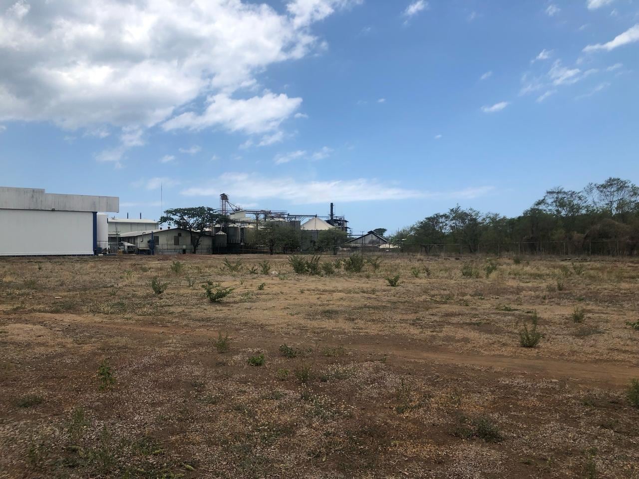 Este es uno de los terrenos que el INS está vendiendo actualmente.