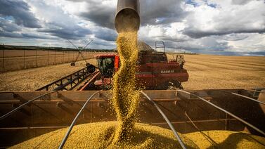 Brasil se debate entre su producción agrícola y la erradicación de la deforestación