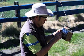 El fracaso de la subasta de frecuencias tiene un origen: la historia de los errores compartidos entre el Micitt y la Sutel
