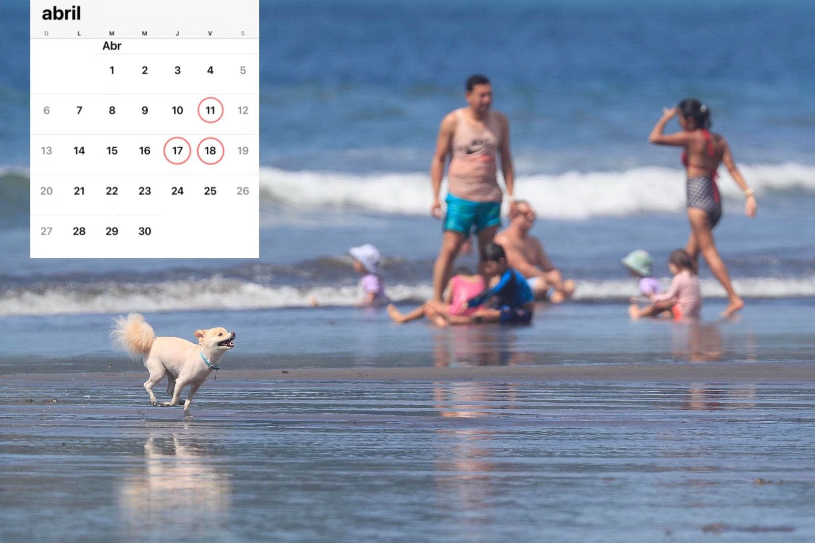 Vacacionistas en semana santa, este año 2025 se celebrará en abril