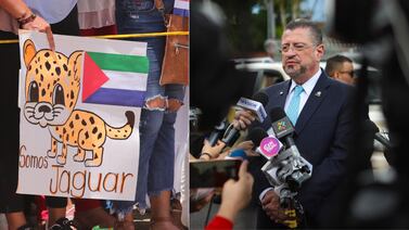 La ley jaguar perdió dos de sus cuatro patas: ¿qué cambió en la nueva versión del plan para referéndum?