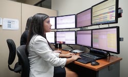 Los desafíos estructurales que frenan el mercado laboral de Costa Rica según la OCDE