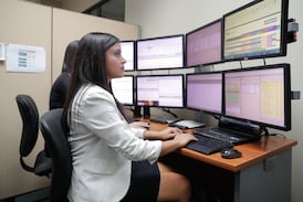 Los desafíos estructurales que frenan el mercado laboral de Costa Rica según la OCDE