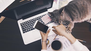 ¿Volver a la presencialidad? Impulsores del teletrabajo la rechazan