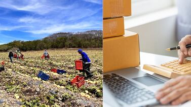 Las pymes de Guanacaste: dos realidades con oportunidades y desafíos distintos