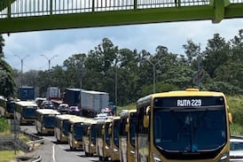 Hermanos Alpízar fortalece su operación con inversión cercana a $2 millones