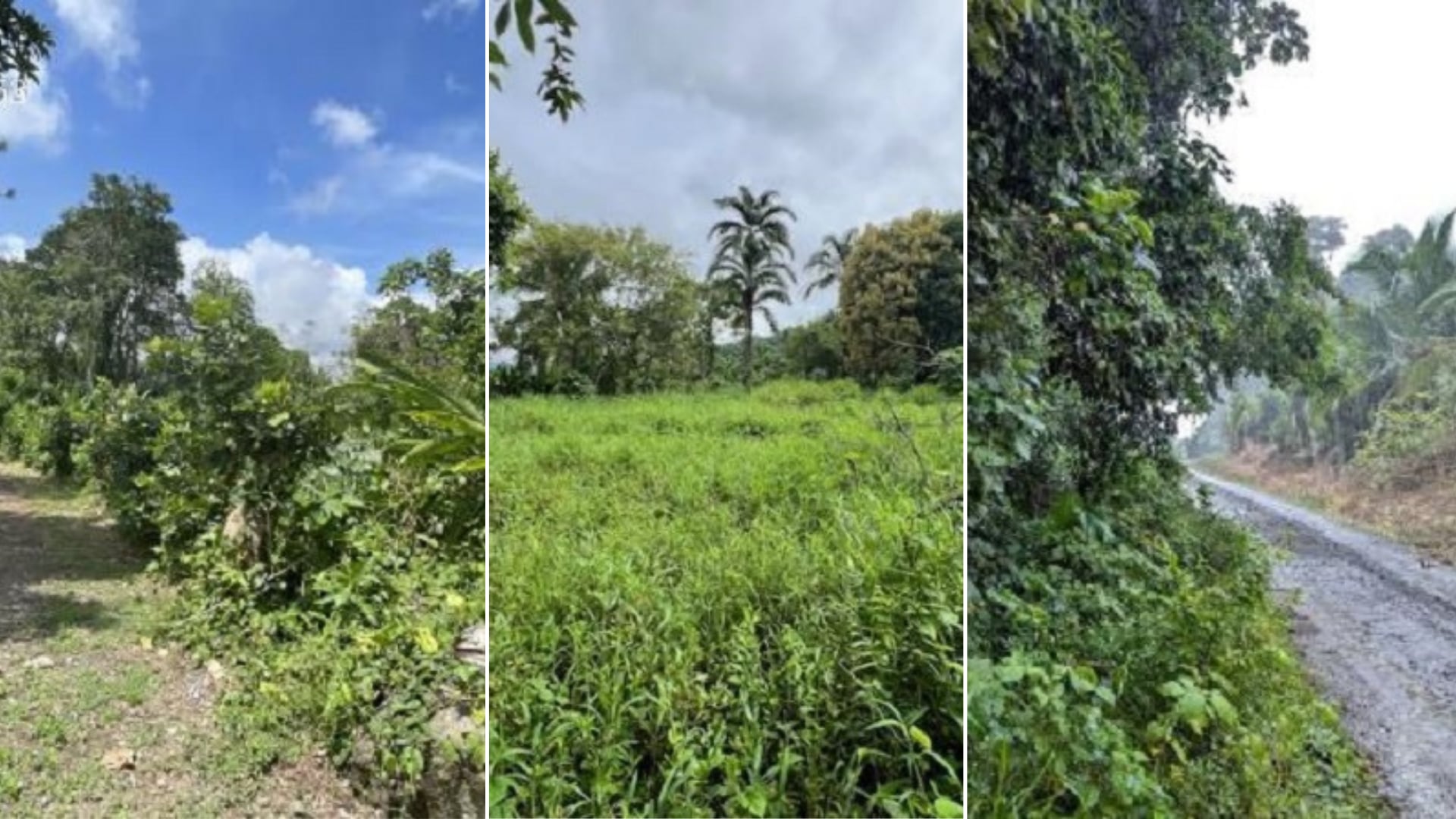 Vista de tres de los lotes en remate por el Banco Popular, con descuentos del 65%.