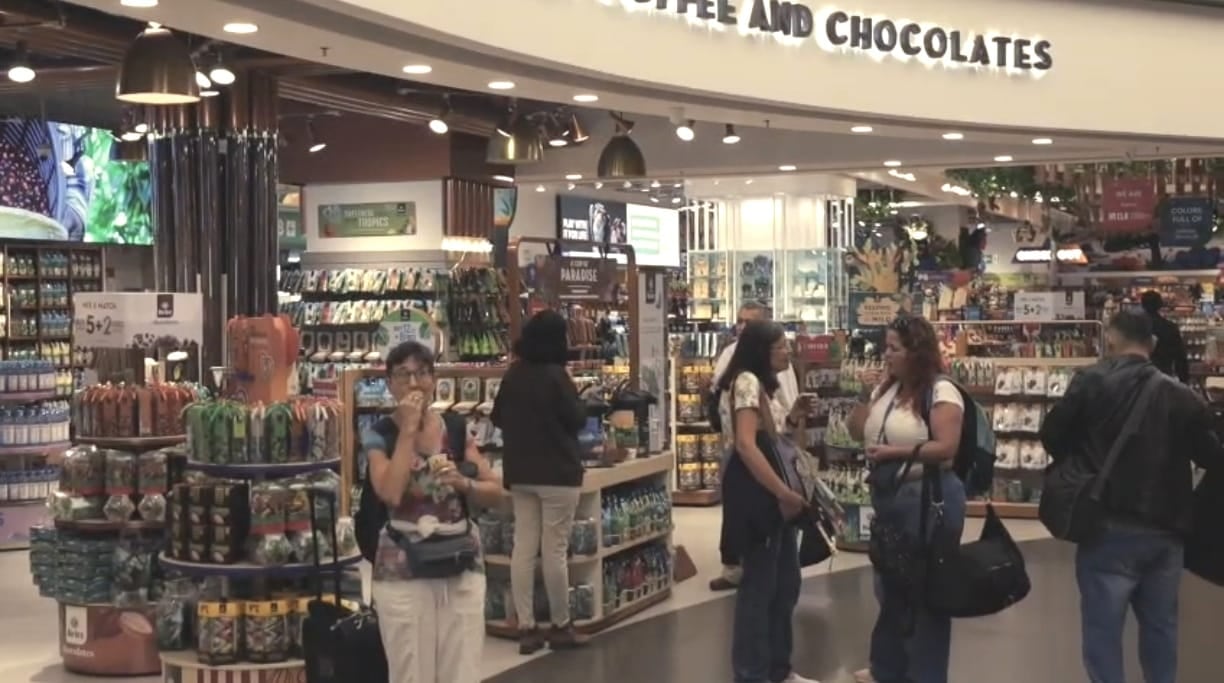 Morpho Travel Experience