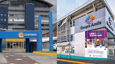 Coopenae y CoopeAnde: ¿cuánto dinero y ganancias maneja cada una antes de la integración?