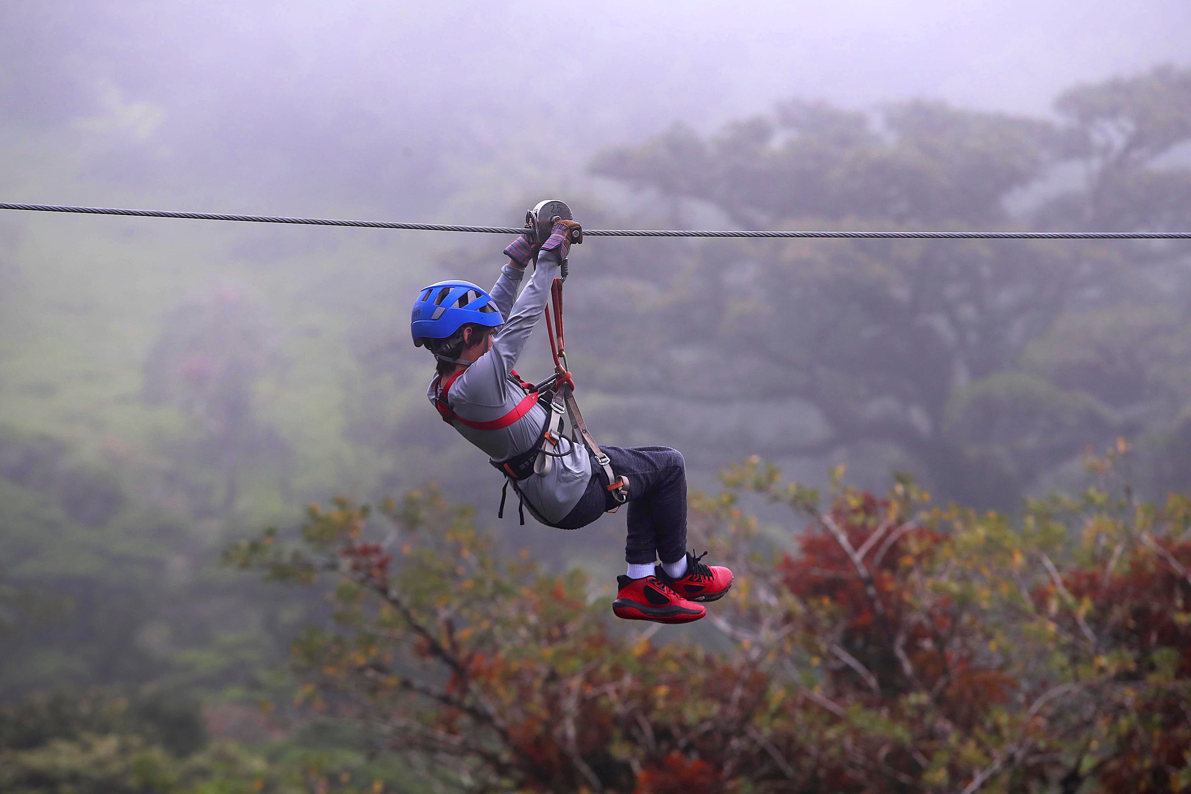 Monteverde. Treetopia, empresa familiar, liderada por Rodrigo Valverde Sánchez y sus cuatro hijos, se ha convertido en pilar en la industria del turismo de aventura en la zona. Cuenta con seis puentes colgantes en las copas de los árboles con fines ecoturísticos, pero también ofrece un teleférico a sus visitantes.