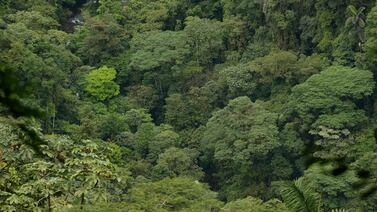 Así van los 17 objetivos de desarrollo sostenible de la Agenda 2030, según Mideplan