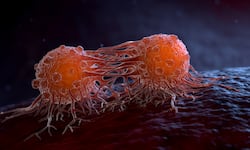 Fármacos de nueva generación rompen 40 años de estancamiento frente al cáncer de páncreas