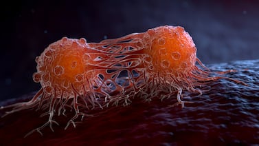 Fármacos de nueva generación rompen 40 años de estancamiento frente al cáncer de páncreas