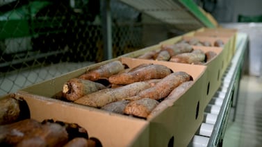 Exportaciones de bienes de Costa Rica crecieron en todos los sectores en febrero