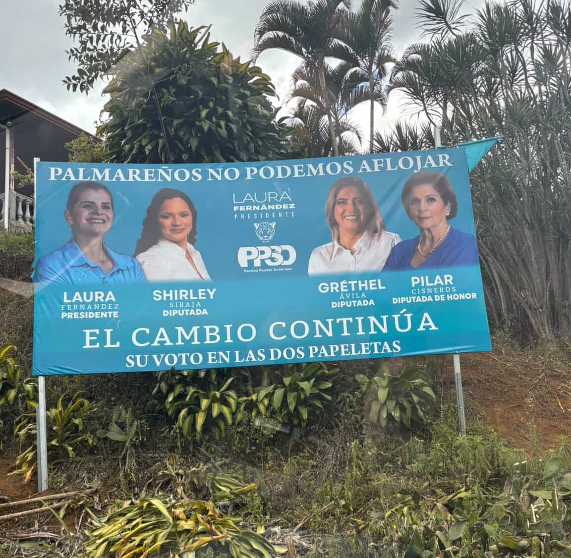 Pilar Cisneros aparece en vallas del PPSO para un puesto que no existe