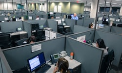 Servicios profesionales y tecnológicos sostienen el dinamismo de la economía