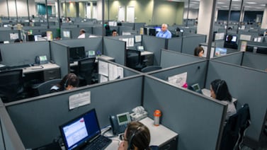 Servicios profesionales y tecnológicos sostienen el dinamismo de la economía