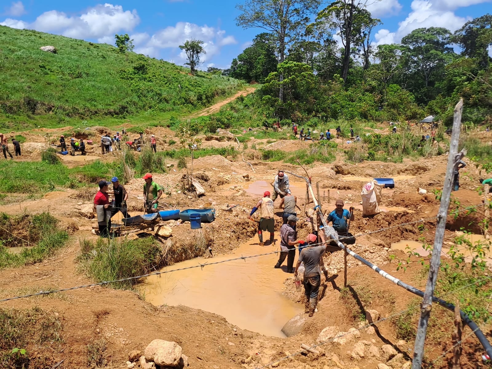La finca Vivoyet, ubicada en Crucitas de San Carlos, vive una invasión masiva de mineros ilegales facilitada por la salida de la Fuerza Pública del lugar, desde el 17 de julio