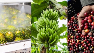 Costa Rica hizo “progreso sustancial” para ingresar al Acuerdo Transpacífico este año; vea lo que dice el ministro de Comercio de Australia sobre la solicitud del país