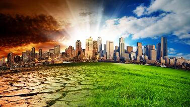 La lección del caminante