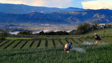 Gestión del riesgo ambiental y social en las carteras de crédito