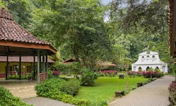 De Villa Lapas a Santa Lucía Jungle Hacienda: le contamos cómo es hospedarse en este renovado hotel