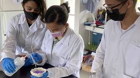 Estudiantes del Colegio Científico de Cartago generan materiales a partir de hongos para crear utensilios biodegradables