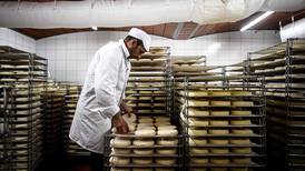 Productores suizos y franceses pierden disputa en EE.UU. por denominación de origen del queso gruyer