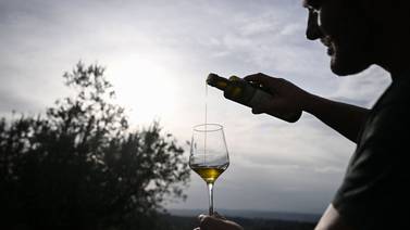 Cambio climático golpea la producción de aceite de oliva en Italia