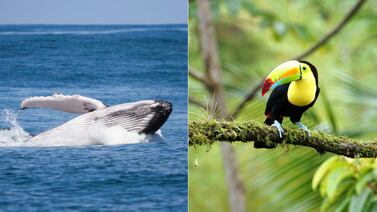 ‘Travel + Leisure’ elige a Costa Rica como destino del año en 2024: conozca las 12 razones tras la decisión
